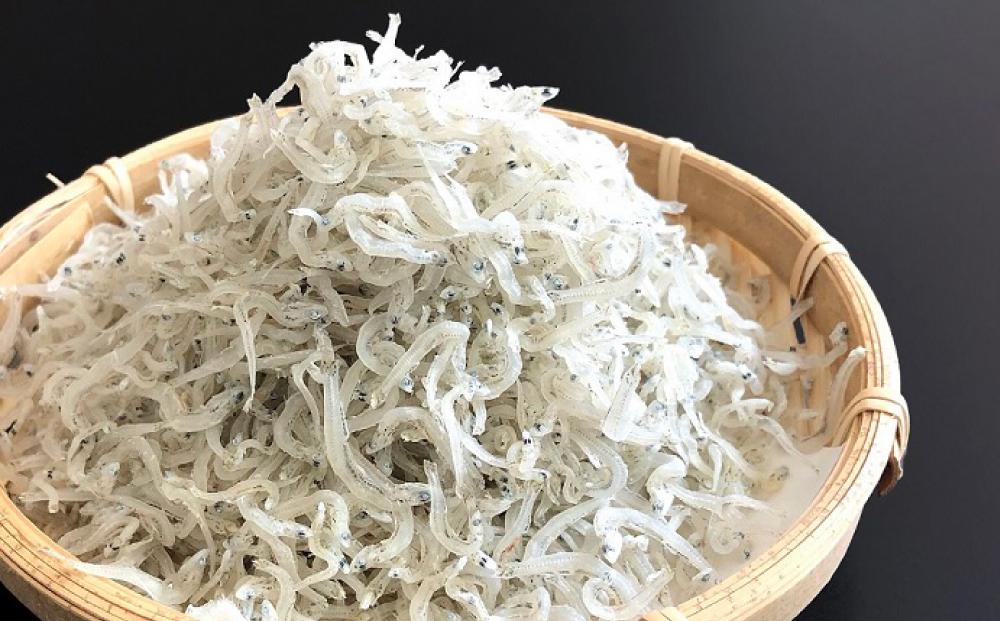 神戸中央卸売市場　目利きのプロが厳選　ちりめんじゃこ