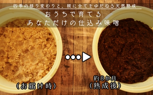 寝かせてつくる完全手作り仕込み味噌３kg