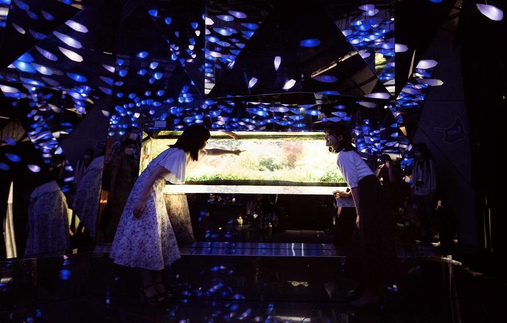 AQUARIUM × ART atoa（アトア）入場引換券（3名様）