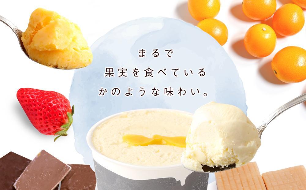 行列のできる有馬温泉スタジオーネのジェラート６個詰め合わせ│  ありま アイス アイスクリーム スイーツ フルーツ 果物 セット お菓子