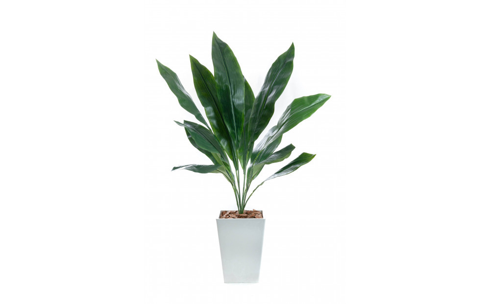 人工観葉植物　ハラン　白樹脂鉢Sサイズ付