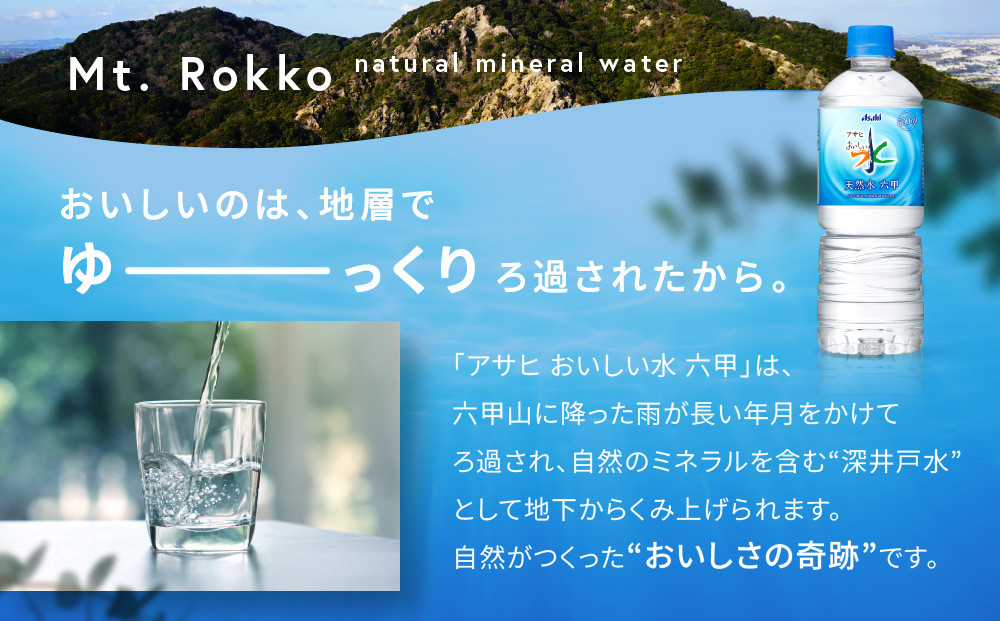 アサヒ飲料 おいしい水 天然水 六甲（600mlペットボトル×24本×2箱）