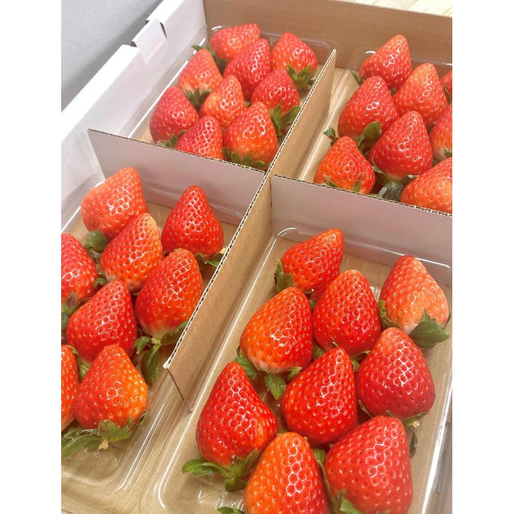 神戸市産いちご