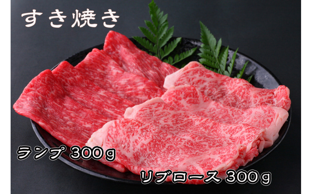 ＜定期便3回＞ A5等級神戸牛 極上2種食べ比べコース【神戸ぐりる工房】（隔月でお届け）