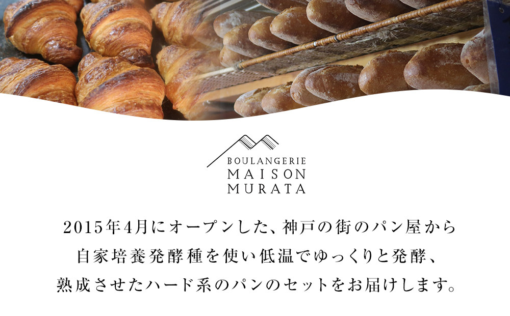 ハード系　パン11個セット　