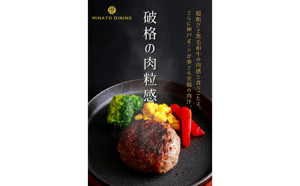 港町神戸の港ハンバーグ 5個入り