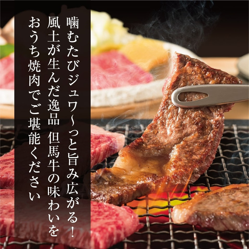 ＜但馬牛＞焼肉 赤身&霜降り 特選セット1kg【FARMEISTER平山牛舗FH04】