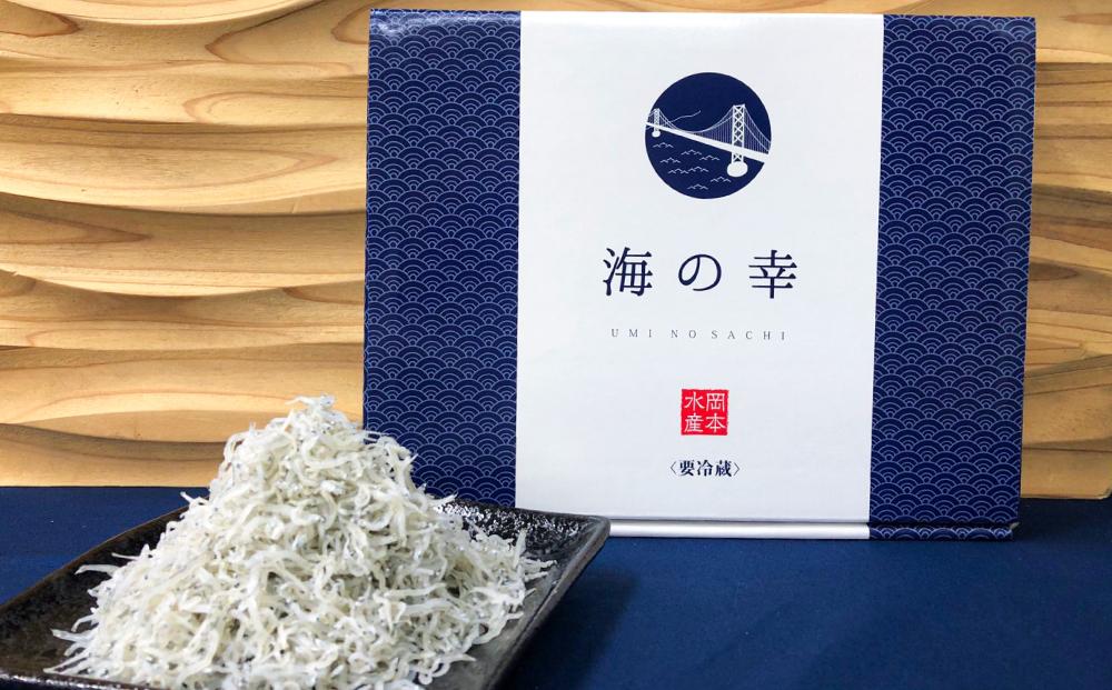 神戸中央卸売市場　目利きのプロが厳選　ちりめんじゃこ