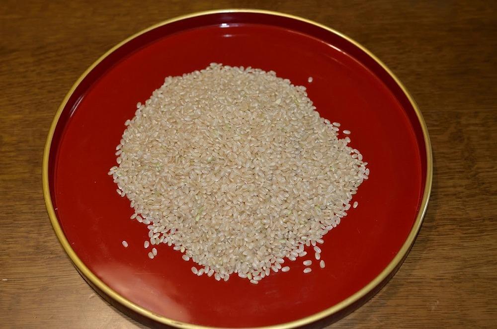 神戸市産　生産農家の「コシヒカリ」（玄米5キロ）【2025年産・10月以降発送】