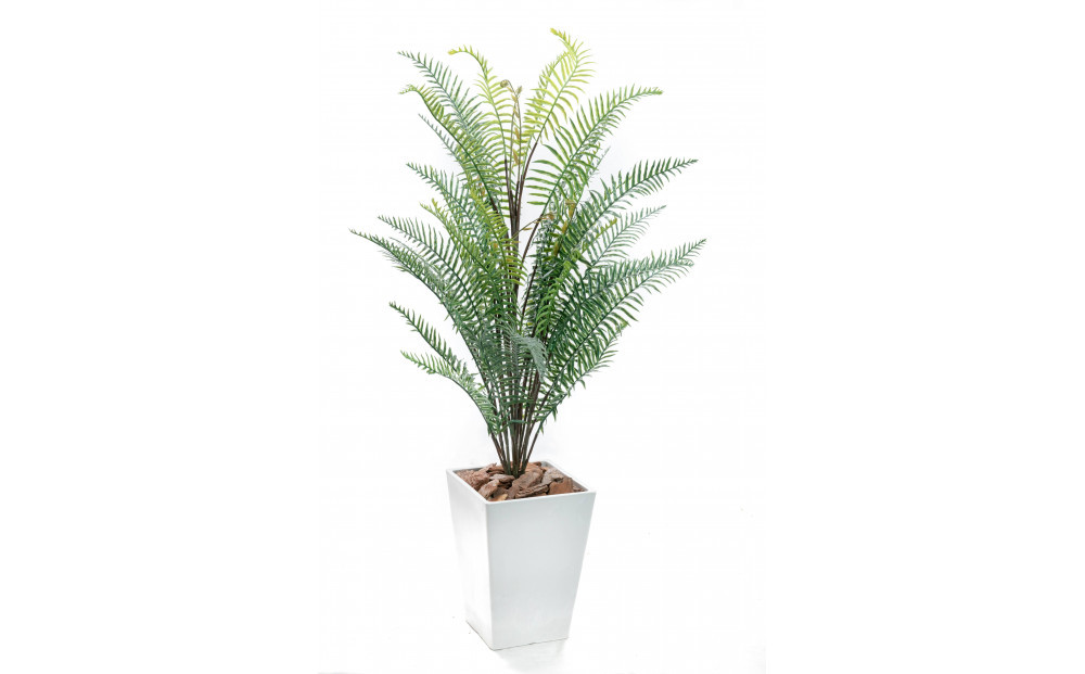 人工観葉植物　シダ熱帯ポット ソードファーン　白樹脂鉢Sサイズ付