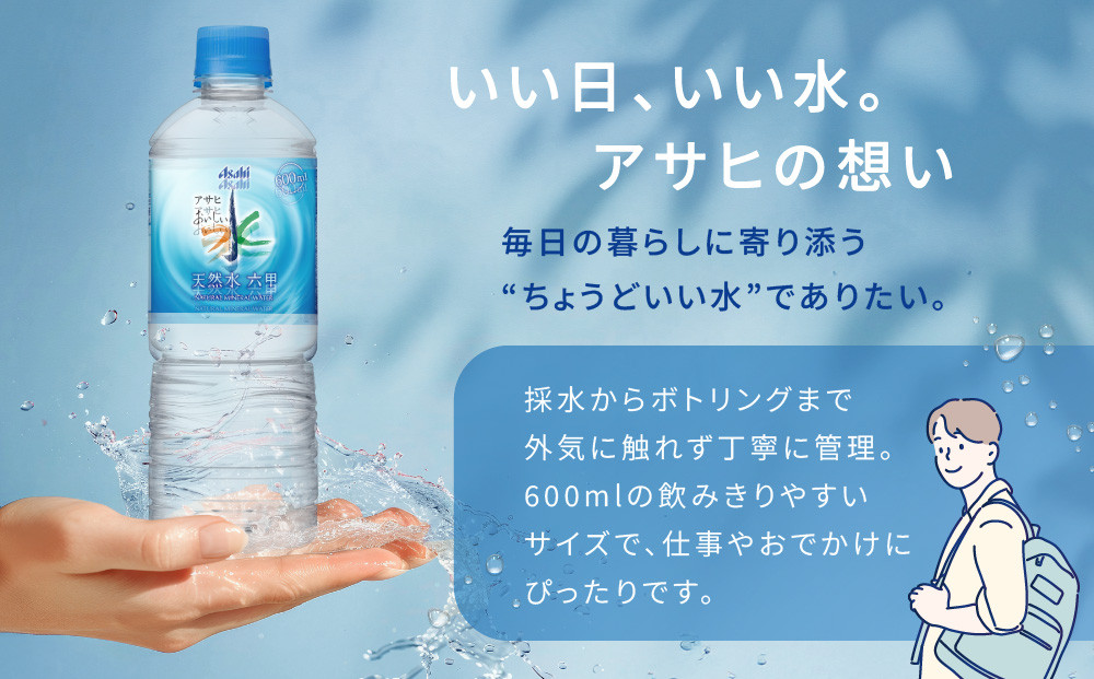アサヒ飲料 おいしい水 天然水 六甲（600mlペットボトル×24本×2箱）