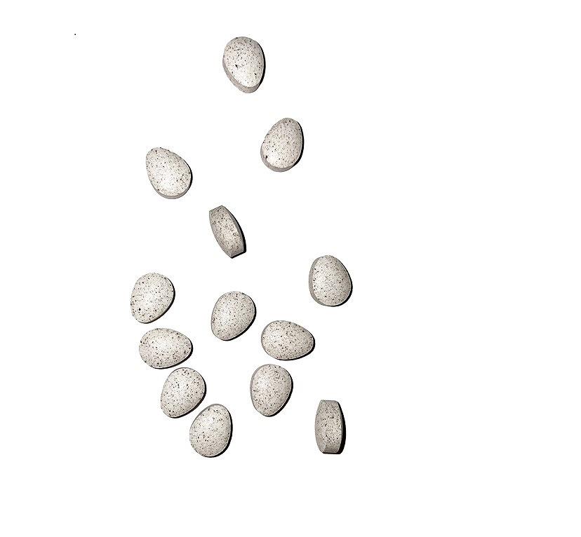 キレイを循環させる微生物のチカラ   百花玉