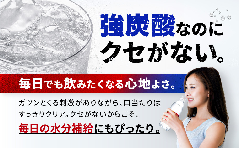 アサヒ飲料 ウィルキンソン タンサン+レモン各1箱セット（500mlペットボトル×24本×2箱）【2026年2月以降のお届け予定】