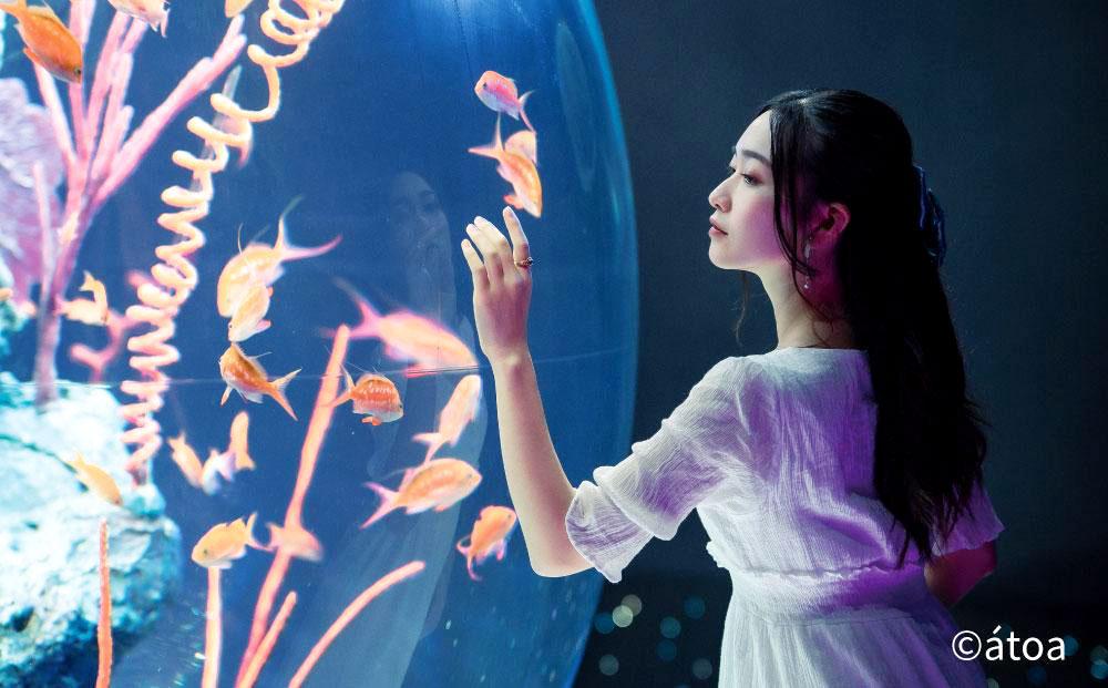 神戸の港の水族館　AQUARIUM ×ART atoa　ロケーションレンタル＜1時間＞1組5名様