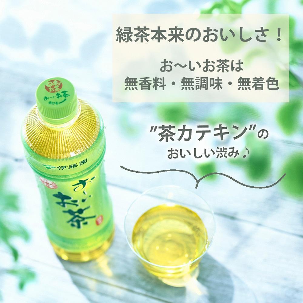 お～いお茶　緑茶　600ml×１ケース（24本）│  おーいお茶 緑茶 飲み物 ペットボトル飲料 飲料 備蓄 ストック