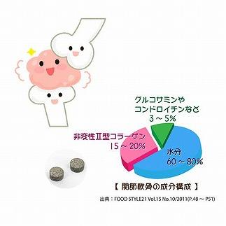 関節ケアの機能性表示食品　関助玉(かんすけだま)　60粒入り