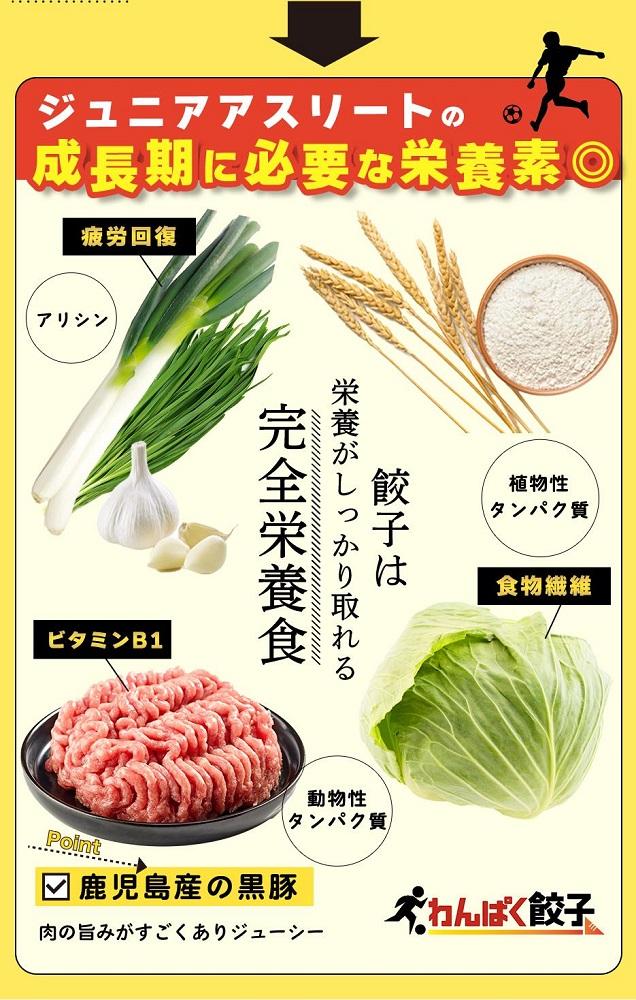 神戸餃子楼　わんぱく餃子（100個入）