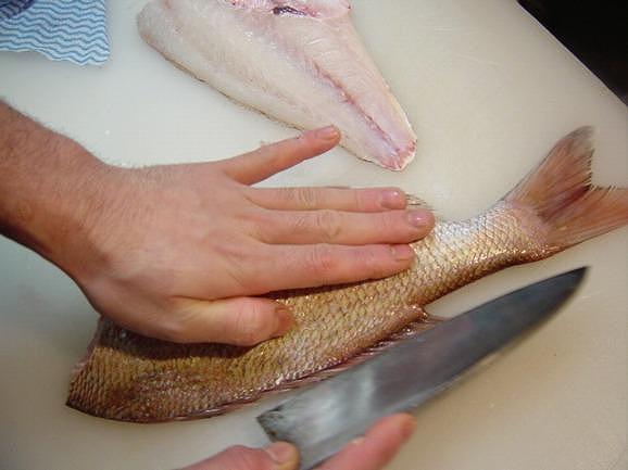 球団承認タイガース包丁出刃包丁手打ち鍛造安来白二鋼トラ模様黄金壇柄