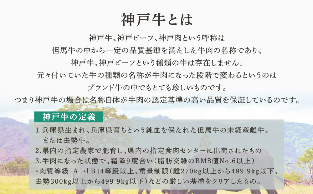 神戸牛スリットミニステーキ