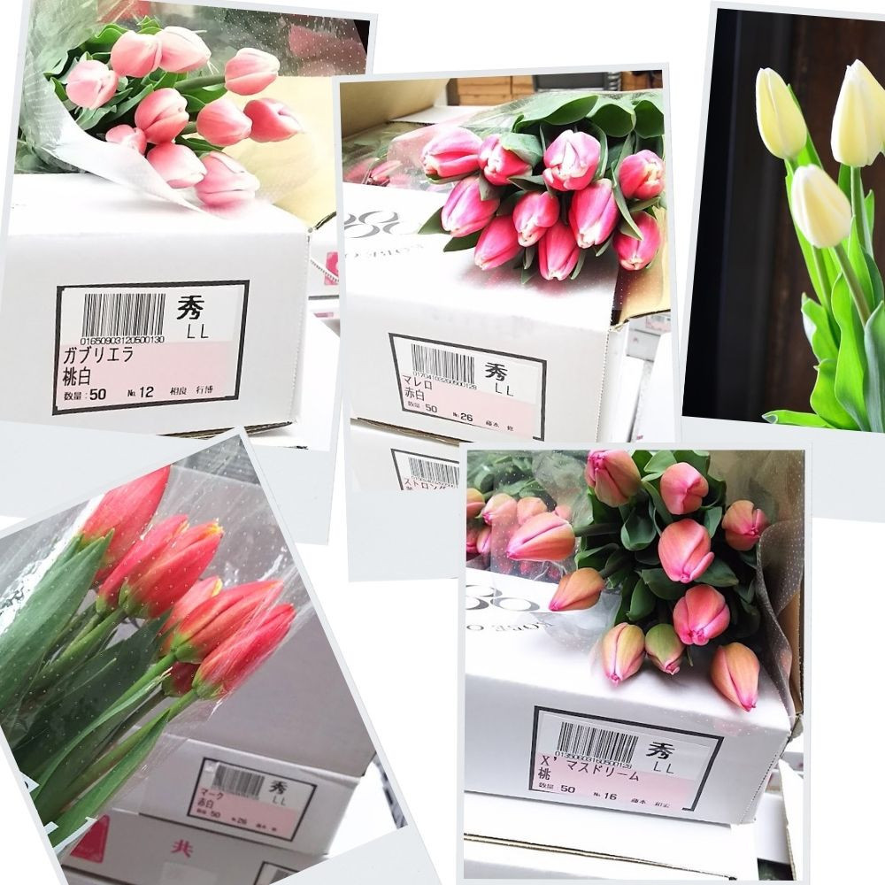 神戸チューリップの花束