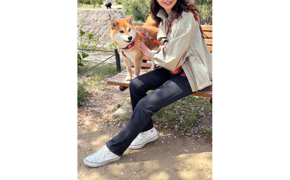 【B-THREE/ビースリー】ペットの抜け毛や花粉がつきにくい  ストレートパンツ(870031)