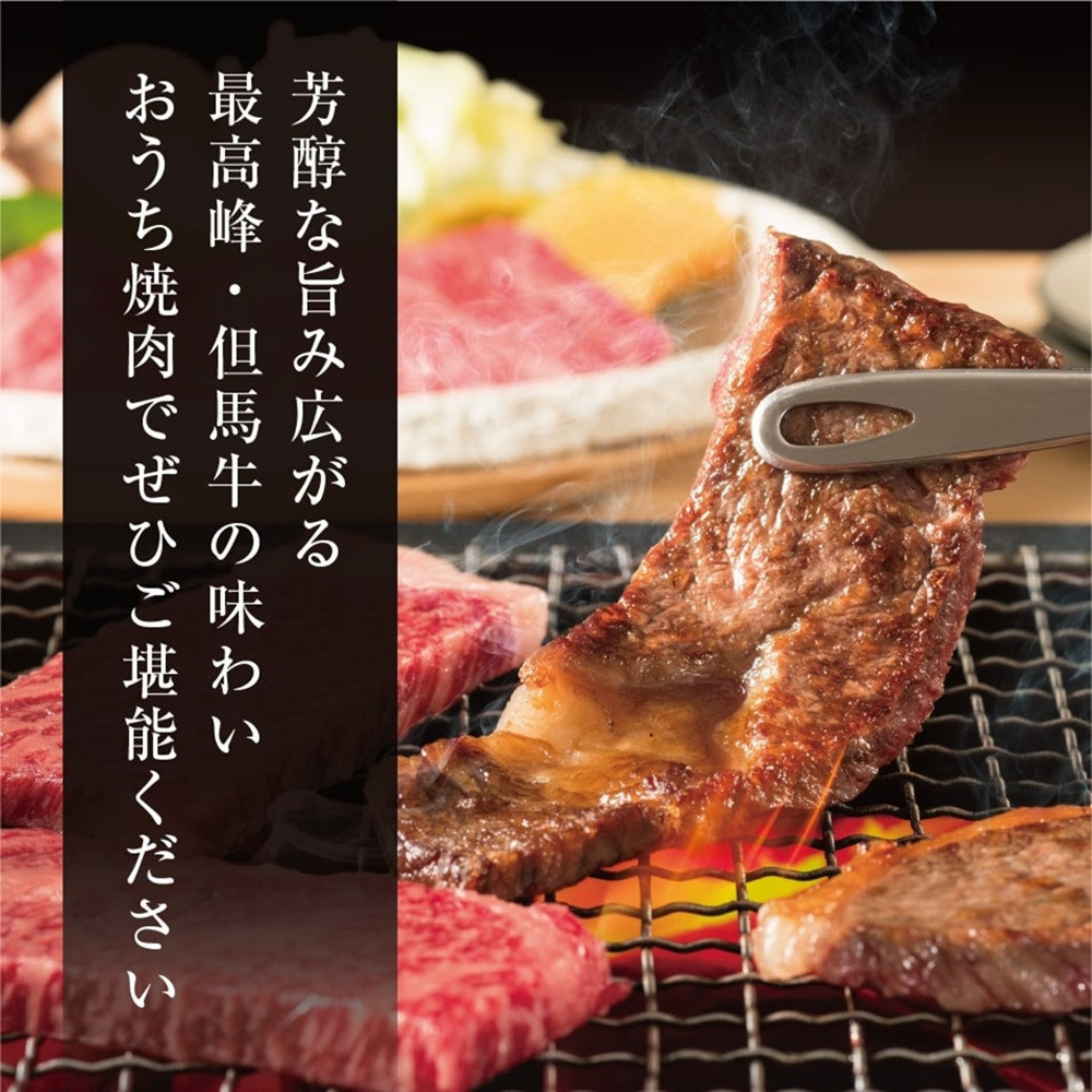 ＜但馬牛＞焼肉 赤身&霜降り 特選セット700g【FARMEISTER平山牛舗FH03】
