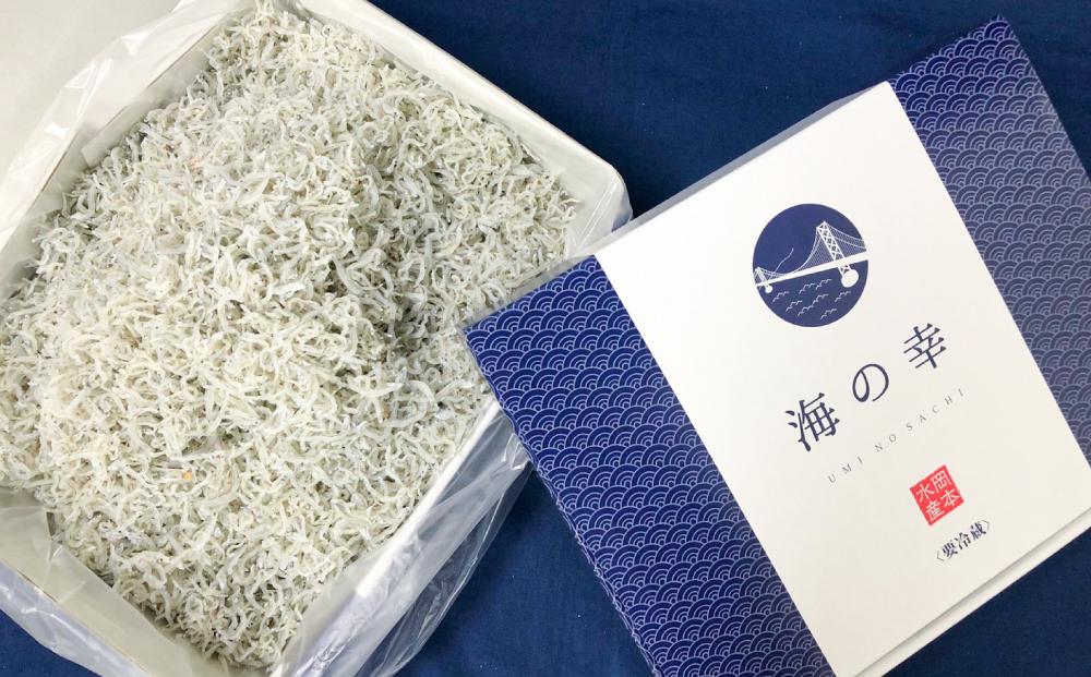 神戸中央卸売市場　目利きのプロが厳選　ちりめんじゃこ