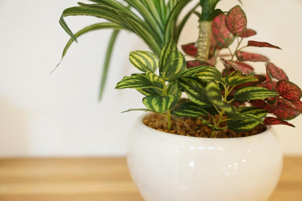 人工観葉植物　ユッカ寄せ植えジャングルポット
