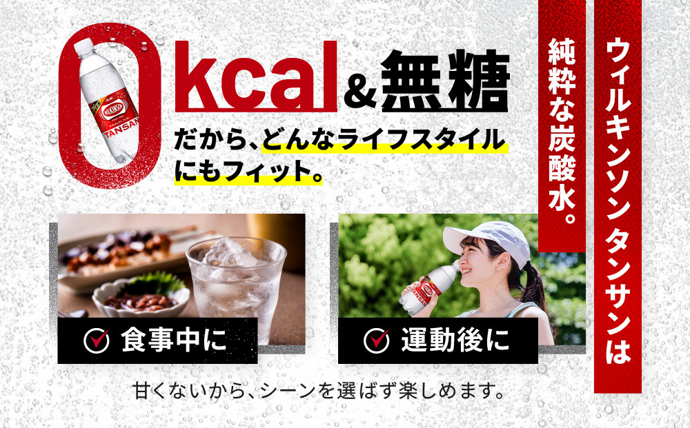 アサヒ飲料 ウィルキンソン タンサン（500mlペットボトル×24本×2箱）【2026年2月以降のお届け予定】 炭酸水 ウィルキンソン 48本 ケース PET ドリンク 飲料 飲み物 人気 おすすめ 送料無料 備蓄 保存
