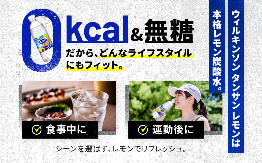 アサヒ飲料 ウィルキンソン タンサン レモン（500mlペットボトル×24本×2箱）【2026年2月以降のお届け予定】 炭酸水 ウィルキンソン 48本 ケース PET ドリンク 飲料 飲み物 人気 おすすめ 送料無料 備蓄 保存
