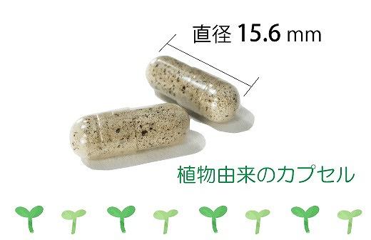 光合成細菌RAP99の力で健康を守る　トーダ酵素