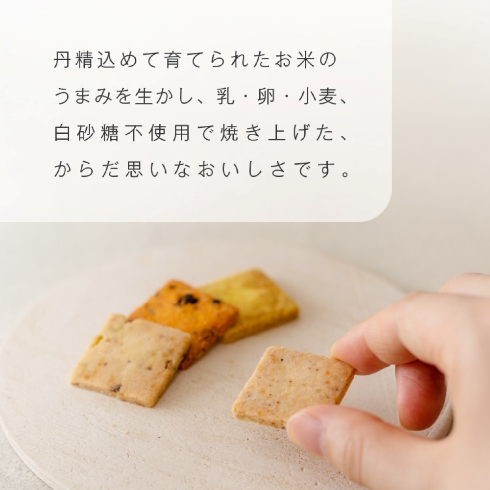グルテンフリー 山田錦 サブレ 【箱入り4種アソート（黒胡椒/トマト/ターメリック/ピスタチオ）】田田田堂 米粉 お菓子 クッキー スイーツ 小麦 乳 卵 白砂糖 不使用 アレルギー 対応 無農薬 米 ビーガン ヴィーガン