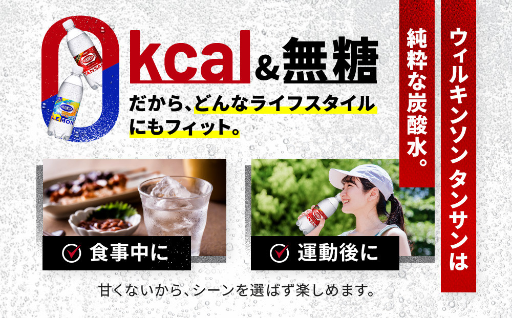アサヒ飲料 ウィルキンソン タンサン+レモン各1箱セット（500mlペットボトル×24本×2箱）【2026年2月以降のお届け予定】