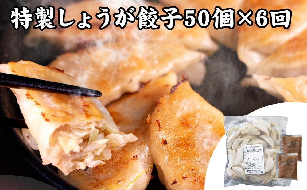 【定期便6ヶ月コース】神戸名物 味噌だれ餃子2種／計100個（50個×2パック） ×6回