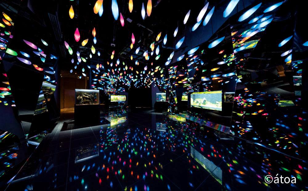神戸の港の水族館　AQUARIUM ×ART atoa　ロケーションレンタル＜1時間＞1組5名様