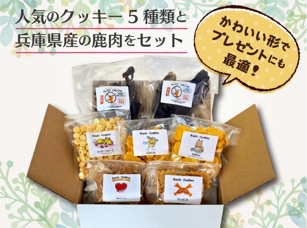 犬用クッキースペシャルセット（クッキー５種類（にんじん・カッテージチーズ・かぼちゃ・さつまいも・なっとう）＋ひょうごニホンジカミート２袋）