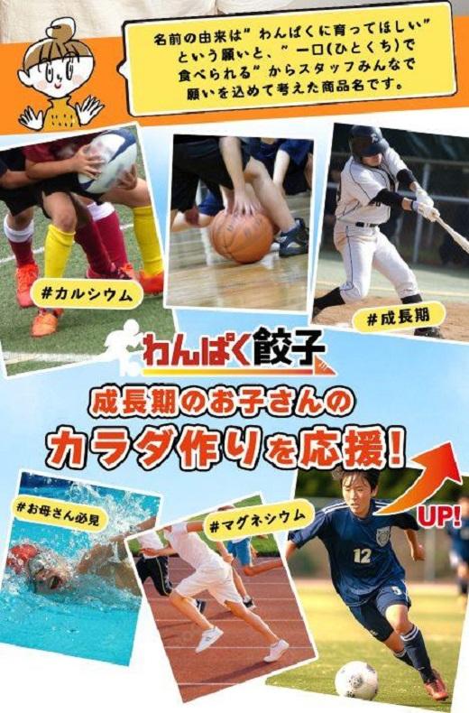 神戸餃子楼　わんぱく餃子（100個入）