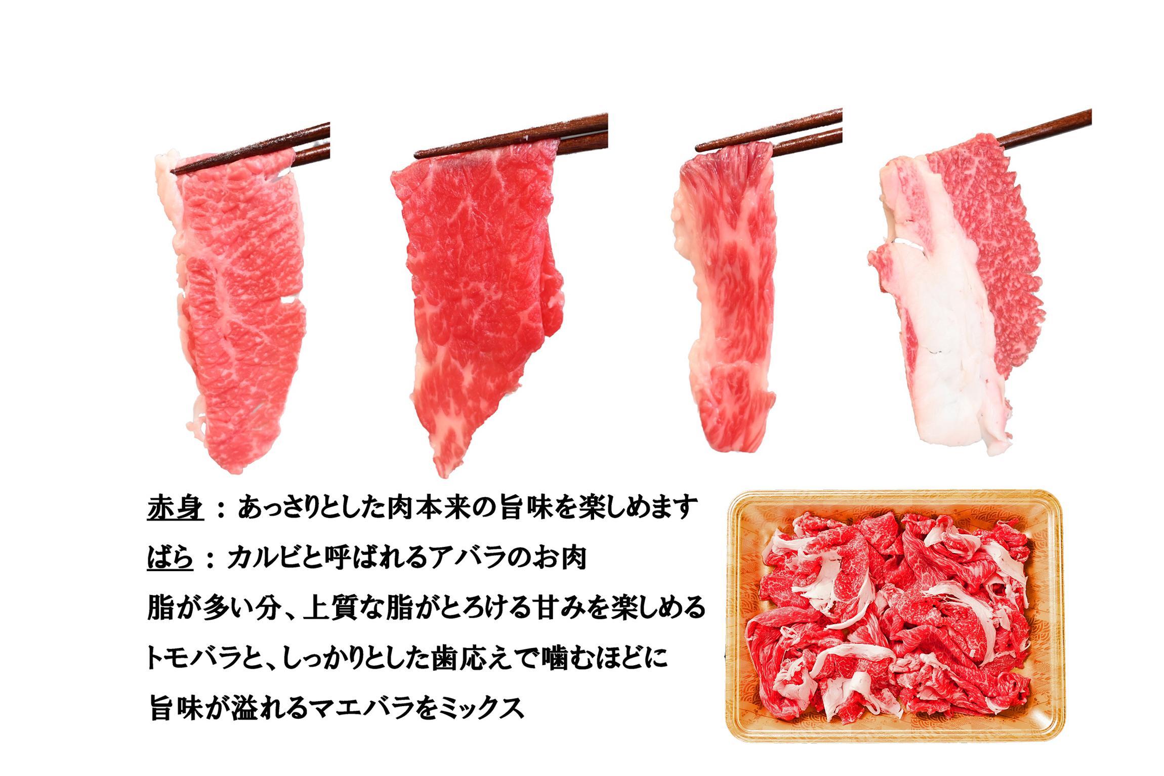 一頭買い 神戸牛 訳あり 切り落とし1kg（500g×2パック）【神戸キングミート】