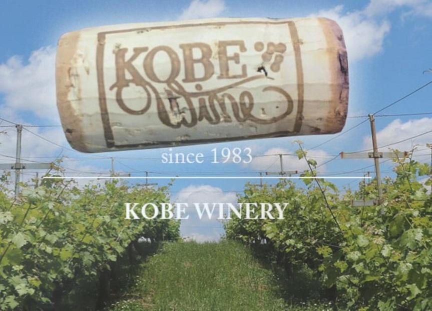 神戸ワイン 神戸 赤 360ml瓶＆白辛 360ml瓶