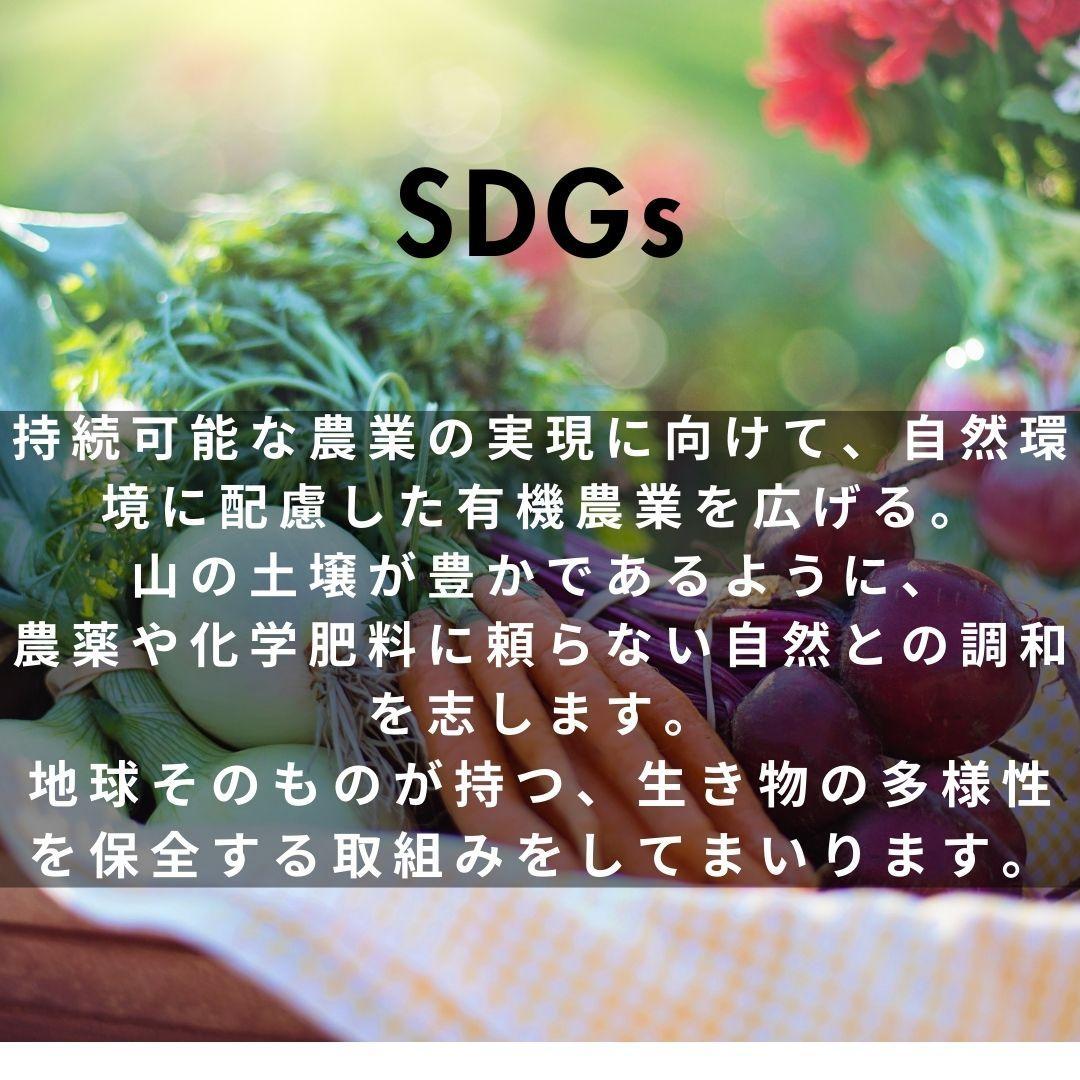 やさいのキラメキセット【神戸市】