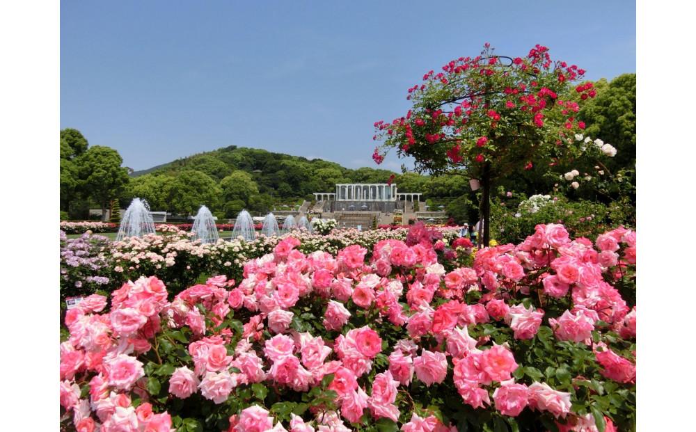 神戸迎賓館 旧西尾邸 レストラン〈ルアン〉離宮公園チケット付 ランチ ハーフコース ペアチケット