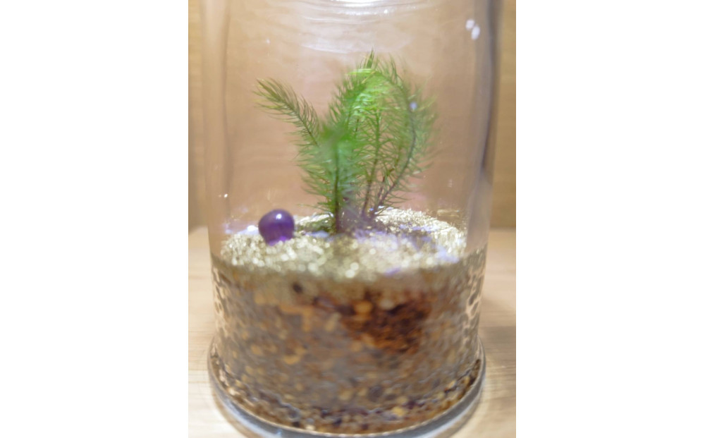 KOBE　COLORS　～STONE & MOSS～