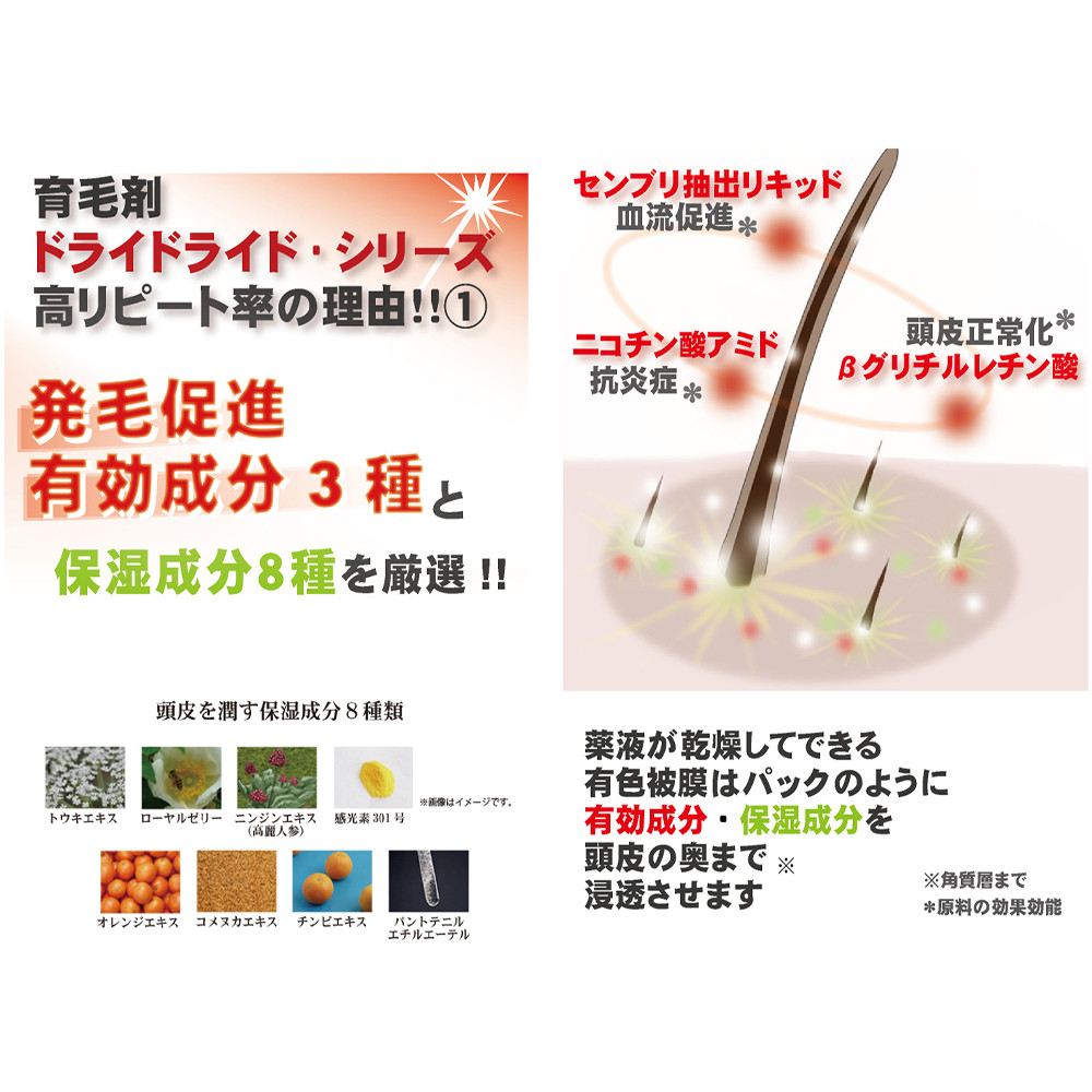 【ブラウン系の髪に】医薬部外品 育毛・発毛促進剤 ドライドライド クイックインパクト 120mL