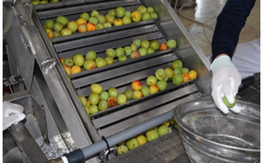 白鶴 梅酒原酒 720ml瓶 x 6本