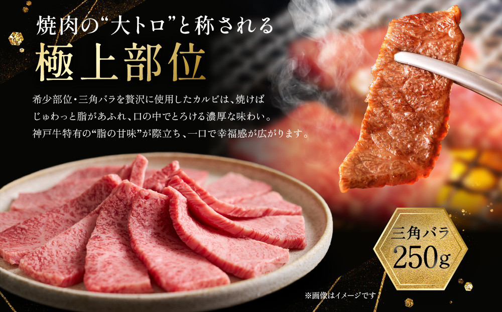 【冷蔵便】神戸牛 焼肉　モモ＆カルビ 500g