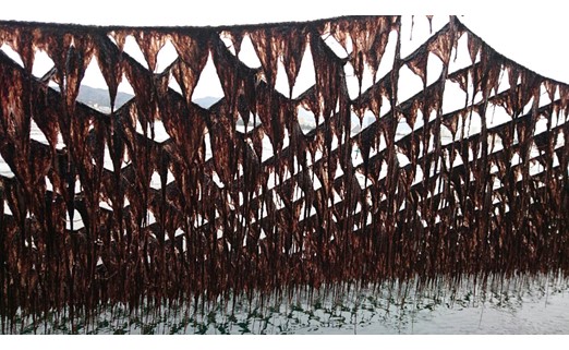 一番摘み須磨のり　笑顔の食卓６本セット