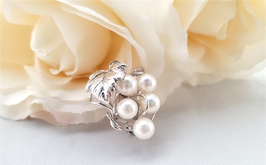 Akoya Sommelier Badge （アコヤ　ソムリエ　バッチ）