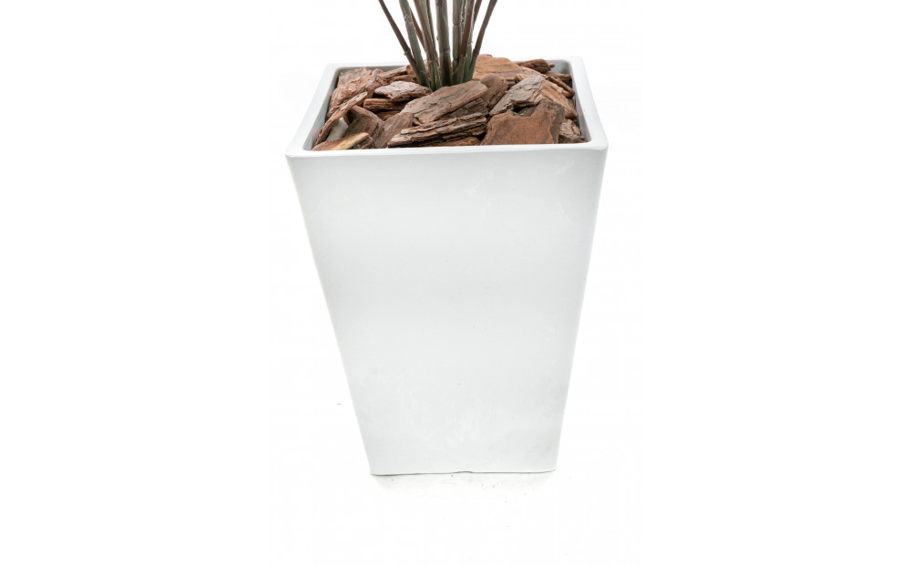 人工観葉植物　シダ熱帯ポット ソードファーン　白樹脂鉢Sサイズ付