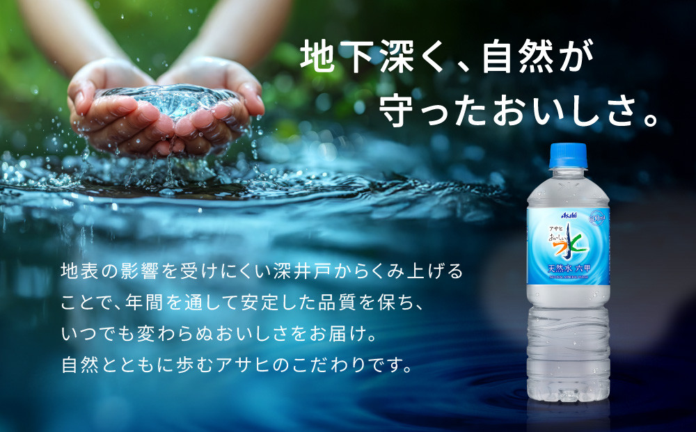 アサヒ飲料 おいしい水 天然水 六甲（600mlペットボトル×24本×2箱）