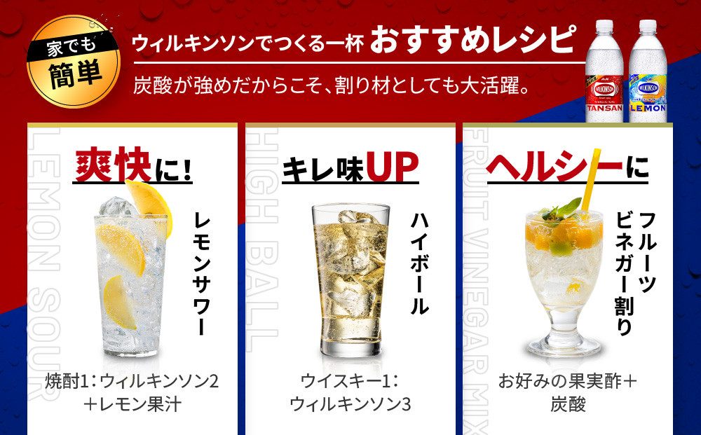 アサヒ飲料 ウィルキンソン タンサン+レモン各1箱セット（500mlペットボトル×24本×2箱）【2026年2月以降のお届け予定】